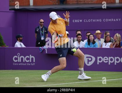 20. Juni 2023; Cinch Championships, Queens Club, West Kensington, London, England: Cinch Championships Queens Club, 2. Tag; Andy Murray (GBR) mit einem Vorschuss auf Alexde Minaur (AUS) Stockfoto