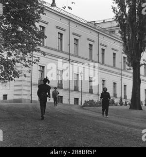 Derzeit 34. 9. 1960: Kunst im Stallpreisträger Else Hagen ist damit beschäftigt, die Haupttreppe des Storting zu dekorieren. Die Arbeit wird vier Jahre dauern. Foto: Aage Storløkken / Aktuell / NTB ***FOTO NICHT VERARBEITET*** Stockfoto