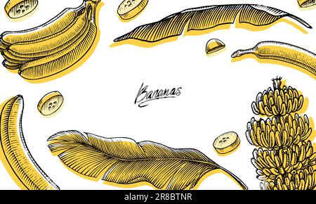 Poster oder Banner mit Bananenfrüchten und Palmenblättern. Handgemalt mit Tinte im Vintage-Stil. Lineares Grafikdesign. Detaillierte vegetarische Speisen. Vektor Stock Vektor