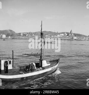 Tatsächlich 11 803-1-1947: Wiederaufbau in Kristiansund Kristiansund N. die auf Felsen und Bergen gebaute Stadt verschwand nach dem deutschen Bombenanschlag im Jahr 1940 in einem einzigen riesigen Feuer. Die Spuren sind fast gelöscht. Seit 7 Jahren leben sie in Baracken, so nah wie Hering in einem Fass. Noch sind nicht alle in die Stadt zurückgekehrt. Jetzt wird die Stadt wieder aufgebaut, aber es braucht Zeit. Foto: Per Bratland / Aktuell / NTB ***FOTO NICHT ABGEBILDET*** Stockfoto