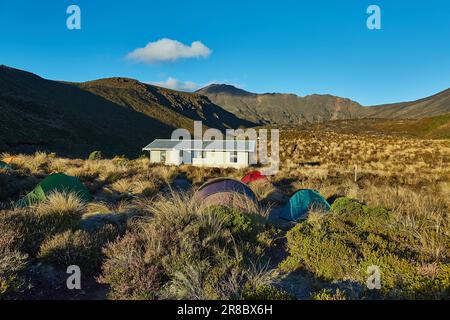 Neuseeländischer Campingplatz auf Bergwanderwegen Stockfoto