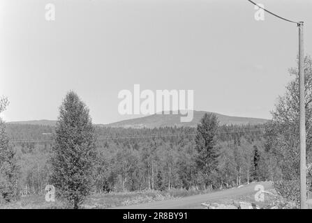 Aktuell 28 - 1 - 1974: Organisationsfreiheit nur eine Organisationsfreiheit nur ein Mythos nur zwei der Hotels in Hallingdal haben einen Tarifvertrag mit dem Hotell- Og Restaurantarbeiderforbundet. Wenn die Mitarbeiter ein Interesse an der Organisation zeigen, werden sie von den Hotelbesitzern belästigt und mit Entlassung bedroht, die von der Unterdrückung ihrer Arbeiter in hohem Maße profitieren. Foto: Ivar Aaserut/Aktuell/NTB ***FOTO NICHT ABGEBILDET*** Stockfoto