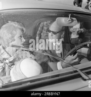 Aktuell 23-6-1960: 500 NOK pro Minute, Auftritt von Marlene Dietrich in Regnbuen in Oslo. 400 Manager, die Ehefrauen von Grundbesitzern und andere, die es sich leisten konnten, einen Ticketpreis von 125 NOK zu zahlen, haben sich in Gegenwart der charmanten Großmutter amüsiert. Foto: Sverre Heiberg / Aktuell / NTB ***FOTO NICHT ABGEBILDET*** Stockfoto