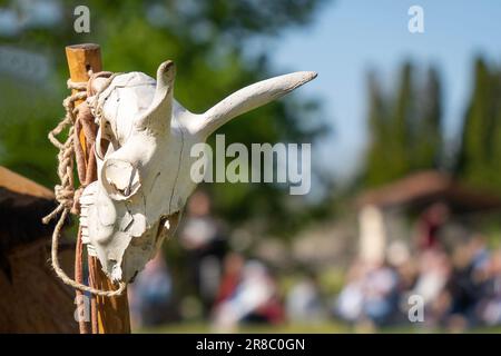 Schamanenstab mit Schafskopf Stockfoto