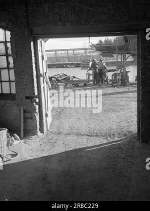 Aktuelle 3-1947: Wohnungsbau in Oslowie viele Menschen bekommen dieses Jahr ein Haus? Material, Arbeit und Geld sind erforderlich, um Häuser zu bauen. Die Situation ist, dass es an einer Reihe wichtiger Materialien mangelt. Dies war in erster Linie der Grund dafür, dass nur 65 Prozent des Set-Building-Programms im letzten Jahr erfüllt werden konnten. Außerdem besteht in den meisten Baugewerben ein erheblicher Mangel an qualifizierten Arbeitskräften. Foto: Th. Skotaam/Aktuell/NTB ***FOTO NICHT VERARBEITET*** Stockfoto