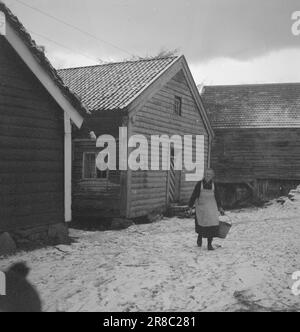 Derzeit 4-1947: Sollten Menschen in Norwegen leben [Bild 0020]die Mitarbeiter von Aktuell besuchen einen Bergbetrieb in Loen in Nordfjord. Die Farm heißt Oppheim, sie ist nicht so hoch im Vergleich zu vielen anderen Farmen in Norwegen, nur 300 Meter über dem Meeresspiegel. Aber von Opheim aus können Sie direkt hinunter in den Fjord sehen, der zwischen hohen, zerklüfteten, schneebedeckten Bergen steckt, sodass die 300 Meter einen geraden Aufstieg darstellen. Die Farm wurde seit Hunderten von Jahren von Generation zu Generation weitergegeben. Das älteste Haus auf dem Bauernhof signiert sich selbst im 16. Jahrhundert, und zu dieser Zeit war Oppheim eines von Nordfjords C. Stockfoto