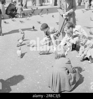 Actual 12-1951: Treffen mit LondonEditor per Bratland auf einer Reportage-Reise nach London, um über das "Festival of Britain" mit einer Darstellung des heutigen London zu berichten. Foto; per Bratland / Aktuell / NTB ***NB!!! FOTO NICHT VERARBEITET*** Stockfoto