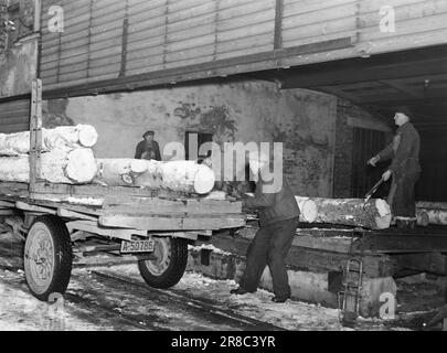 Aktuelle 03-1949: Hier sind die Übereinstimmungen. Von Bryn-Halden Nitedals Match Factory A/S Der wichtigste Rohstoff in der Streichhölzerei ist Aspenholz, das sowohl für Streichhölzer als auch für Boxen verwendet wird. Die Rinde geht an das Dampfzentrum der Anlage.Foto: Sverre A. Børretzen / Aktuell / NTB ***FOTO NICHT VERARBEITET*** Stockfoto