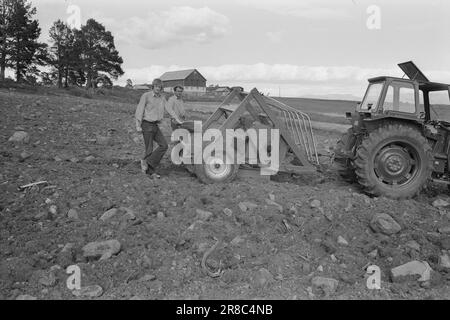 Aktuell 33 - 3 - 1974: Konsul und Kleinbauern im Kampf um LandKonsul Thor Treider und seine Frau kauften vor elf Jahren 6.300 Hektar Berg- und Waldgebiet auf dem Gipfel von Heidalen stromaufwärts von Sjoa. Die Menschen in der Gemeinde glauben, dass 1.500 dieser Ziele für den Neuanbau perfekt geeignet sind. Mehrere Nutzer sind direkt von zusätzlichen Grundstücken abhängig, da ihre Nutzung sonst in wenigen Jahren eingestellt werden muss. Aber der Konsul weigert sich zu verkaufen. Das einzige, was er bis jetzt verkaufen will, sind 200 Morgen für Hüttengrundstücke. Die Einnahmen aus diesem Verkauf hätten sich geahnt Stockfoto