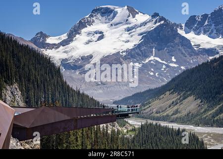 Der Columbia Icefield Skywalk mit Glasboden schwebte am 6. Juni 2023in über dem Tal im Jasper National Park, Alberta, Kanada Stockfoto