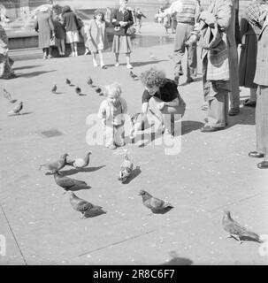 Actual 12-1951: Treffen mit LondonEditor per Bratland auf einer Reportage-Reise nach London, um über das "Festival of Britain" mit einer Darstellung des heutigen London zu berichten. Foto; per Bratland / Aktuell / NTB ***NB!!! FOTO NICHT VERARBEITET*** Stockfoto