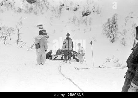 Tatsächlich 06-1950: Anspruchsvoller bergmarsch. Die Schüler der Kommandoschule für die Infanterie und der Feldwebel, 450 Männer, waren auf einem sechstägigen bergmarsch mit kompletter Winterausrüstung und Rüstung. Foto; Sverre A. Børretzen/Aktuell/NTB ***PHOTO NOT IMAGE PROCESSED*** Stockfoto