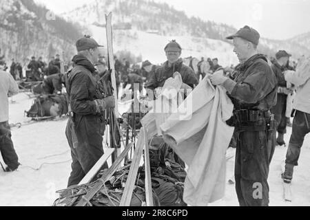 Tatsächlich 06-1950: Anspruchsvoller bergmarsch. Die Schüler der Kommandoschule für die Infanterie und der Feldwebel, 450 Männer, waren auf einem sechstägigen bergmarsch mit kompletter Winterausrüstung und Rüstung. Foto; Sverre A. Børretzen/Aktuell/NTB ***PHOTO NOT IMAGE PROCESSED*** Stockfoto