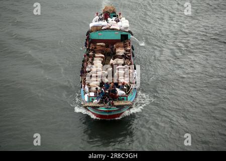 Viele Kühe kommen aus verschiedenen Bezirken von Bangladesch nach Dhaka Stadt mit dem Boot vor Eid-al Adha, Dieses Fest der muslimischen Menschen opfern Kühe und Stockfoto