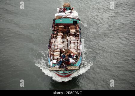 Viele Kühe kommen aus verschiedenen Bezirken von Bangladesch nach Dhaka Stadt mit dem Boot vor Eid-al Adha, Dieses Fest der muslimischen Menschen opfern Kühe und Stockfoto