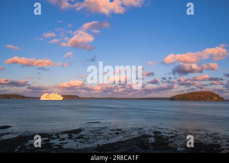 Kreuzfahrtschiff in Bar Harbor, Hafen von Maine Stockfoto