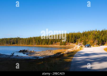 Acadia National Park Auto auf der Straße in Maine während der Herbstsaison Stockfoto