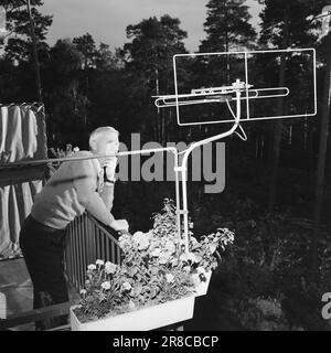 Aktuell 40-5-1960: Nie mehr schlafen Norwegens größter TV-Enthusiast Kjell Aukrust verbringt nun 23 Stunden am Tag vor dem Fernseher. In der letzten Stunde fährt er ein Auto. Er hat seine letzte Kraft während der Olympischen Spiele aufgebraucht. Ebenso ist dies seine bevorzugte Sprache: Nie mehr schlafen. Wenn er die Antenne nach Osten richtet, bekommt er Ton, aber keine Bilder. Im Westen bekommt er Bilder, aber keinen Ton. Foto: Aage Storløkken / Aktuell / NTB ***FOTO NICHT VERARBEITET*** Stockfoto