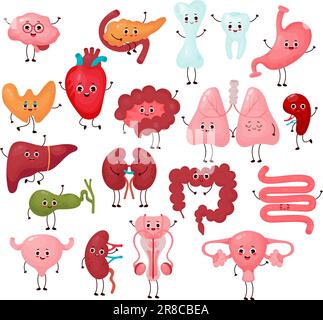 Große Sammlung süßer menschlicher Cartoon-Organe. Isolierte, flache, lustige Zeichentrickfiguren. Anatomiekonzept Stock Vektor