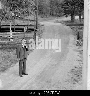 Aktuell 39-7-1960: Schlupfloch an der Grenze, an der sich Morokulien heute befindet, fand eines der erstaunlichsten illegalen Abenteuer des Krieges statt. Die Hauptverbindungsleitung zwischen Hjemmefront und Utefront verläuft direkt an den Nasen der deutschen Wachen vorbei. Foto: Aage Storløkken / Aktuell / NTB ***FOTO NICHT VERARBEITET*** Stockfoto