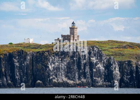 Blick auf den Leuchtturm auf der Isle of May, Firth of Forth in Fife, Schottland, Großbritannien Stockfoto