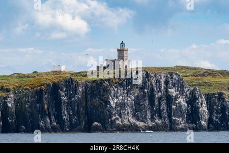 Blick auf den Leuchtturm auf der Isle of May, Firth of Forth in Fife, Schottland, Großbritannien Stockfoto