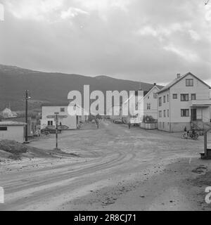 Aktuell 46-7-1960: Soll dieses Dorf verwüstet werden? Die Bergbaugemeinde Bjørkåsen steht vor ihrem Niedergang, wenn nicht bald neue Arbeitsplätze geschaffen werden. Die Erzreserven reichen nur für 2 1/2 Betriebsjahre aus. Die Jungen fliehen aus dem Dorf, und die Alten sind beunruhigt über die Ungewissheit. „Es muss eine neue Industrie aufgebaut werden, das ist eine beliebte Forderung“, sagt die Ballangsværingen. Foto: Bjarne Amundsen / Aktuell / NTB ***FOTO NICHT ABGEBILDET*** Stockfoto