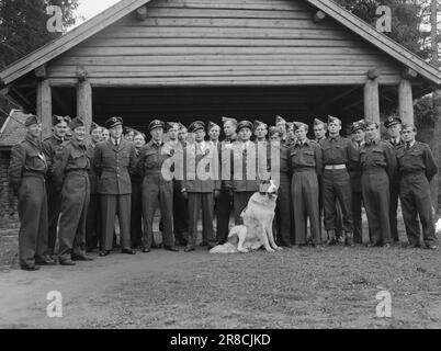 Aktuell 24-4-1947: Sicherer Flugverkehr die Kommunikations- und Radarschulen der Air Force in Lutvann trainieren diejenigen, die für den Kommunikationsdienst der Air Force verantwortlich sind. Peinlich, pedantische Genauigkeit sind wichtige Eigenschaften. Foto: Th. Skotaam/Aktuell/NTB ***FOTO NICHT VERARBEITET*** Stockfoto