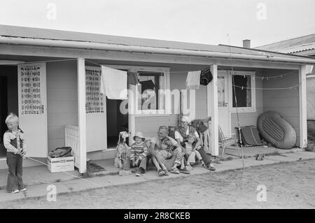 Aktuell 28 - 4 - 1974: Vom Strand geworfen Married Ehepaar Ada Haug und Odd Grythe reisen vom Campingplatz zum Campingplatz und stellen TV-Material her. Es gibt Live-Übertragungen. Aber sie erfordern auch umfangreiche Vorbereitungsarbeiten. Ab und zu wird es ein bisschen Urlaub geben. Der Hund Pia ist auch da. Kristian, Martin, Odd Grythe und Ada Haug wurden von Little Tom besucht. Für die Kinder ist im Fußball viel los. Es gibt auch etwas Eis. Foto: Ivar Aaserud / Aktuell / NTB ***FOTO NICHT ABGEBILDET*** Stockfoto