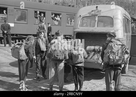 Ist 09-1949: Ende für dieses Jahr. Osterverkehr mit der Bergen Railway. Hier sind geschmackvolle Züge. Foto: Sverre A. Børretzen / Aktuell / NTB ***FOTO IST NICHT BILDVERARBEITET*** Stockfoto