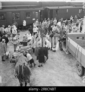 Ist 09-1949: Ende für dieses Jahr. Osterverkehr mit der Bergen Railway. Hier sind geschmackvolle Züge. Foto: Sverre A. Børretzen / Aktuell / NTB ***FOTO IST NICHT BILDVERARBEITET*** Stockfoto