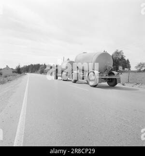 Stromstärke 30-5-1960: Das rasende Todesgrinsen hinter dem Steuer. Riesige Autokolossusen, wie Lokomotiven, fahren durch die dicht besiedelten Gebiete entlang der Straßen. Die Verkehrspolizei ist ständig auf der Suche und überwacht Schwertransporte mit Radar. Foto: Ivar Aaserud / Aktuell / NTB ***FOTO NICHT ABGEBILDET*** Stockfoto