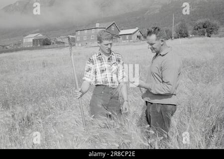 Derzeit 39-4-1960: Bauernschüler in Tigerstaden. Der Student Lars Ramstad wird aus dem Bergdorf Skjåk in die Betonblöcke in Oslo verpflanzt. „Hart“, sagt er, „aber es wird funktionieren“.Foto: Ivar Aaserud / Aktuell / NTB Stockfoto