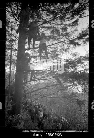 Actual 47-4-1960 : luftiger Schwebeflug ohne Schnee Bergen's Ski Circle zusammen mit Fana Idrettslag und Hoppsportens Freunden organisierten Rennen in Lilletvedtbakken in Fana außerhalb von Bergen. Der Abflusskanal war mit zerstoßenem Eis von Bergen Fiskeinwiesi überzogen. Foto: Sverre A. Børretzen / Aktuell / NTB ***FOTO NICHT IMAGE PROCESSED*** Stockfoto