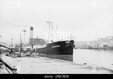 Derzeit 10-9-1960: Schwimmender Sarg Flakke repariert alte Wannen in seiner eigenen Werkstatt, die nicht den professionellen Standards entsprechen. "Rensvik", den Flakke an Trondheim verkauft hat, kurz bevor es abgestürzt ist. Weitere 4 Flakkes Schiffe sind abgestürzt. Foto: Sverre A. Børretzen / Aktuell / NTB ***FOTO NICHT IMAGE PROCESSED*** Stockfoto