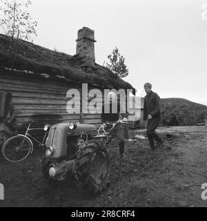 Tatsächlich 47-5-1960: Nein zur Parteipeitsche Was geschah eigentlich in Åmli, der Gemeinde Aust-Agder, wo sowohl der Bürgermeister als auch der stellvertretende Bürgermeister ausgeschlossen waren? Der Zentralrat der Labour Party hob den Ausschluss auf und lehnte die Parteipeitsche ab. Foto: Aktuell/NTB ***FOTO NICHT VERARBEITET*** Stockfoto