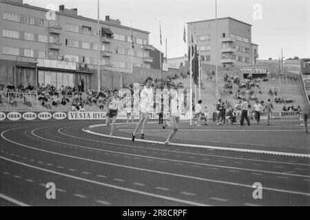 Aktuell 29 - 6 - 1974: Kleiner Bruder in der Welt EliteLittle Brother hat Big Brother für immer distanziert. Arne Kvalheim muss in der Schlange stehen. Knut Kvalheim gehört nach 13.20.4 während der Top Games in Helsinki vor ein paar Wochen zur entschieden Weltelite in 5000 Metern Höhe. Bis heute hält er drei norwegische Rekorde, 3.000 Meter Steeplechase und flach und 5.000 Meter. Knut Kvalheim - mit seinen drei norwegischen Rekorden - muss sich in knapp zwei Monaten während der EG in Rom in der Favoritengruppe wiederfinden. Foto: Jo Grim Gullvåg / Aktuell / NTB ***FOTO NICHT ABGEBILDET*** Stockfoto