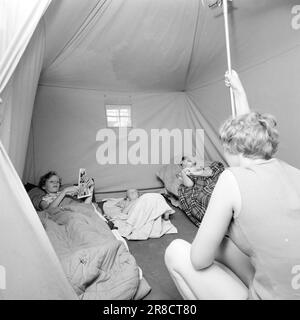 Derzeit 31-6-1960: Der Feiertag steht vor Tausenden von Menschen, die mit dem Auto oder Zelt in Urlaub fahren. Foto: Aage Storløkken / Aktuell / NTB ***FOTO NICHT VERARBEITET*** Stockfoto