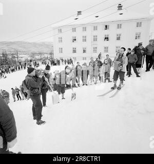 Aktuell 5-8-1960: Skifahren, Shows und Nachtclubs die Touristen dürfen keine Sekunde lang gelangweilt sein. Geilo begeistert mit Skifahren, Shows und Nachtclubs. Foto: Ivar Aaserud / Aktuell / NTB ***FOTO NICHT ABGEBILDET*** Stockfoto