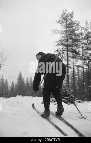 Aktuell 10-6-1960: Kirkvaag zum Film Rolf Kirkvaag ist dem Film als leitender Arzt in Arne Skouens neuem Film „Omringet“ beigetreten - über Major Hauglings dramatische Tage in der Frauenklinik von Rikshospitalet während des Krieges. Hier auf einem Skiausflug. Foto: Ivar Aaserud / Aktuell / NTB ***FOTO NICHT ABGEBILDET*** Stockfoto