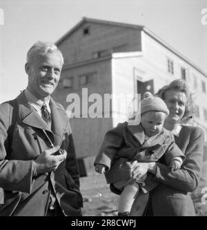 Derzeit 19-4-1947: Englische Dame in Svalbardenglisches Stadtmädchen für Polarnächte in Svalbard. Mrs. Kitty Thorbergsen traf Liebe in London, als sie als Bürodame im britischen Luftfahrtministerium arbeitete. In der Pension, in der sie wohnte, zog der Norweger per Thorbergsen schließlich ein, und es kam süße Musik. Jetzt sind sie verheiratet, haben Kinder und leben in Svalbard, wo per derzeit stationiert ist. Helge Ingstad t.v. Foto: Th. Skotaam/Aktuell/NTB ***FOTO NICHT VERARBEITET*** Stockfoto