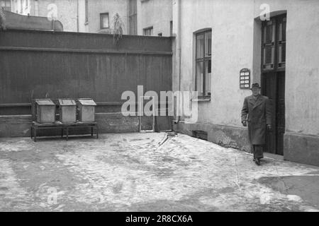 Tatsächlich 2-1947: GulostenJohannes Andersen, besser bekannt als „Gulosten“, ist einer der berühmtesten Einbrecher Norwegens. Während des Krieges unternahm er sowohl im in- als auch im Ausland hervorragende Anstrengungen. In seinem Buch „VI kommer oss“ gibt Johannes Andersen einige Einblicke in sein farbenfrohes Leben. Johs. Auf alten Grundstücken. Hier kommt er aus Trondhjemsveien 14 in Oslo, wo er in seiner Kindheit lebte. Foto: Th. Skotaam/Aktuell/NTB ***FOTO NICHT VERARBEITET*** Stockfoto