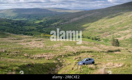 Ein Auto wurde auf einer steilen Bergweide zerstört, nachdem er von einer engen Landstraße in Dentdale, Cumbria, Großbritannien, abgekommen war. Stockfoto