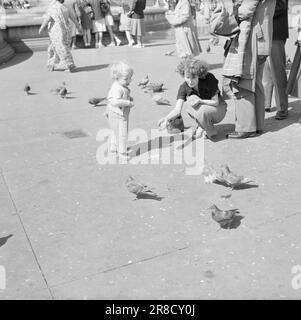 Actual 12-1951: Treffen mit LondonEditor per Bratland auf einer Reportage-Reise nach London, um über das "Festival of Britain" mit einer Darstellung des heutigen London zu berichten. Foto; per Bratland / Aktuell / NTB ***NB!!! FOTO NICHT VERARBEITET*** Stockfoto