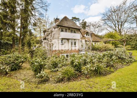 Ein Haus, umgeben von Bäumen und Büschen im Landgarten mit blauem Himmel als Hintergrundbild - 1230893 Stockfoto