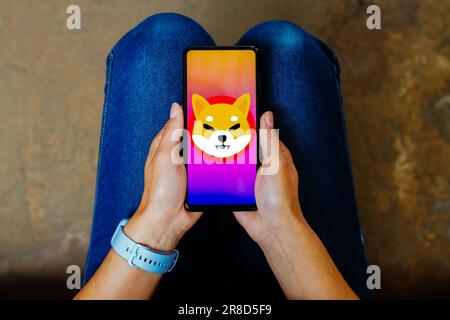 Brasilien. 20. Juni 2023. In dieser Abbildung wird das Shiba Inu Logo auf einem Smartphone-Bildschirm angezeigt. (Kreditbild: © Rafael Henrique/SOPA Images via ZUMA Press Wire) NUR REDAKTIONELLE VERWENDUNG! Nicht für den kommerziellen GEBRAUCH! Stockfoto