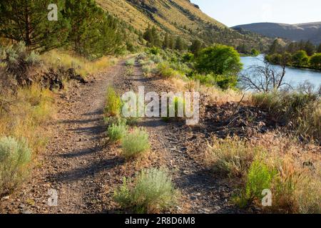 Forut Creek Trail, Deschutes Wild and Scenic River, Prineville District Bureau of Land Management, Oregon Stockfoto