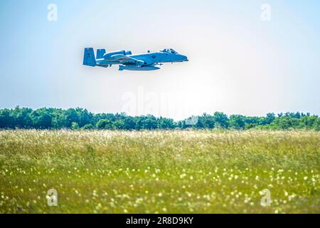 EIN US-AMERIKANISCHER Der dem 124. Kampfflügel der Nationalgarde Idaho zugeteilte Air Force Pilot landet nach einer gemeinsamen Flugmission mit deutschen und griechischen Pendants während der Übung Air Defender 2023 (AD23) am 13. Juni 2023 ein A-10 Thunderbolt II Flugzeug auf dem Luftwaffenstützpunkt Lechfeld. Übung AD23 vereint die US-amerikanische und die alliierte Luftmacht, um gemeinsame Werte zu verteidigen, während gleichzeitig wichtige Partnerschaften genutzt und gestärkt werden, um Aggressionen auf der ganzen Welt abzuwehren. (USA Air National Guard Foto von Master Sgt. Becky Vanshur) Stockfoto