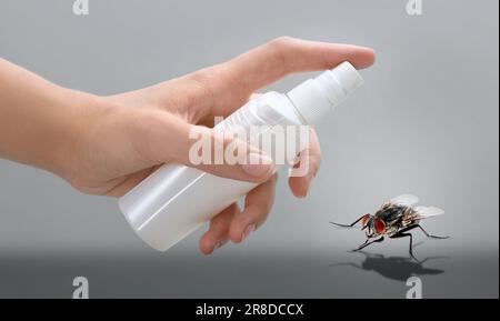 Frau, die Fliegenspray auf grauem Hintergrund benutzt, Nahaufnahme Stockfoto