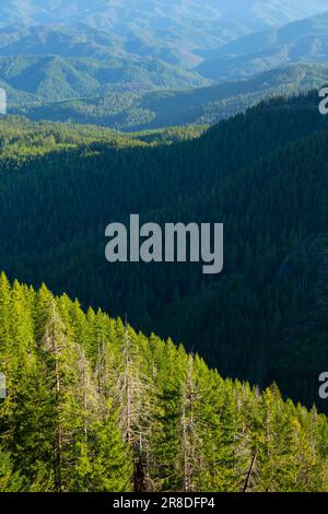 Blick vom Illahee Lookout Trail, Umpqua National Forest, Oregon Stockfoto